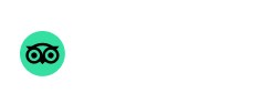 Global App Testing