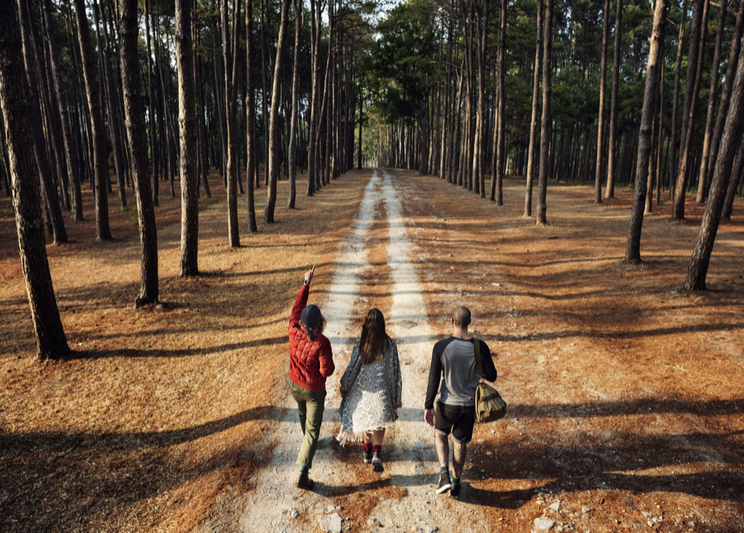 Walking Through Woods