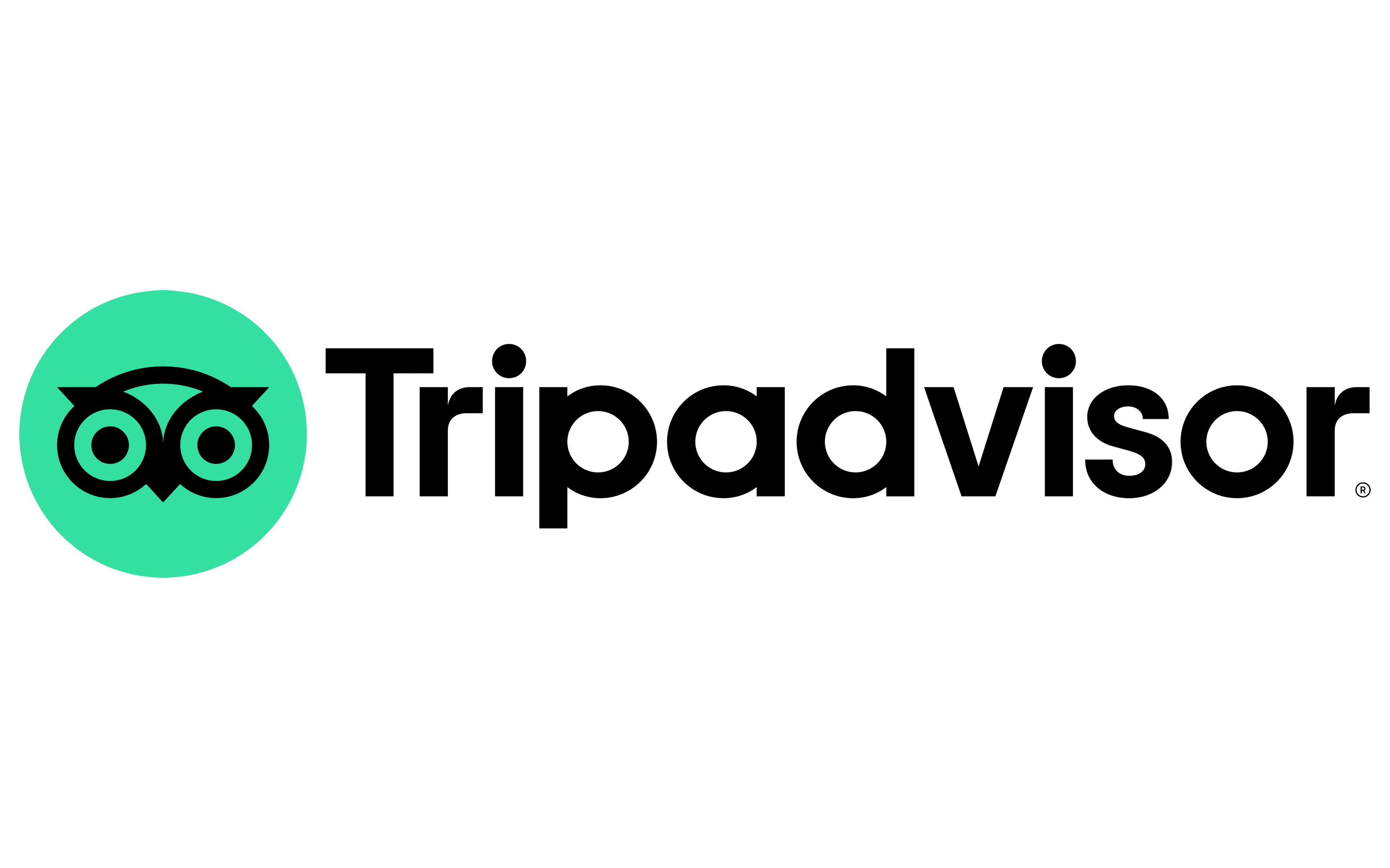 Tripadvisor-Logo (1)